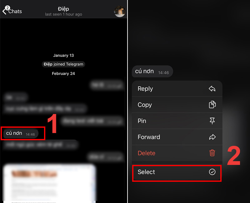 Nhấn giữ một tin nhắn bất kì trong vài giây > Select