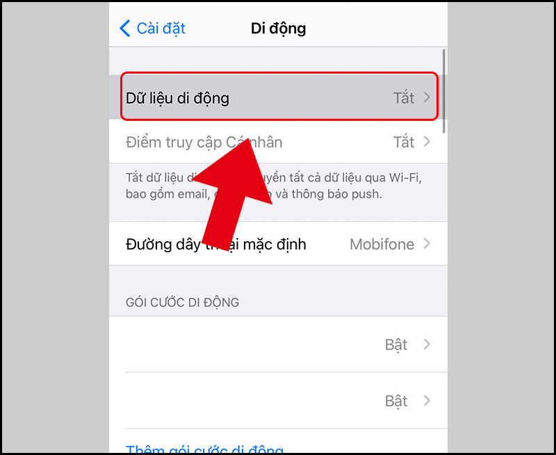 5 lỗi thường gặp của Safari trên iPhone - Cách khắc phục hiệu quả - vienthongtrunghau.com
