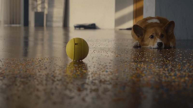 Samsung Ballie là gì?