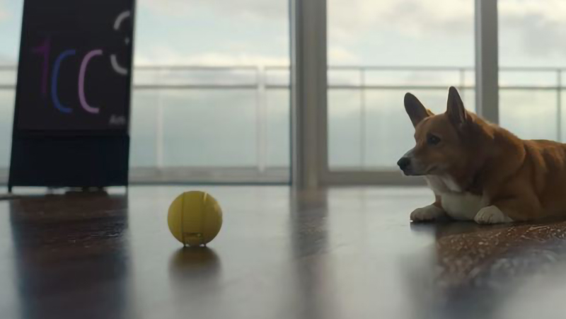 Samsung Ballie phù hợp với ai?