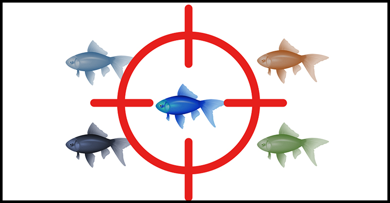 Spear Phishing được tổ chức để nhắm chính xác vào bạn