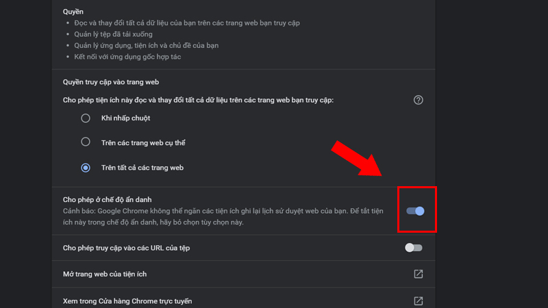 Cho phép IDM ở chế độ ẩn danh