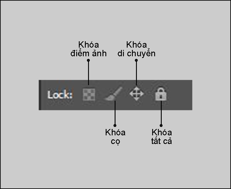 Khóa Layer