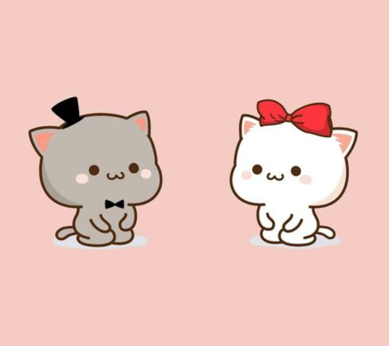 Top 85+ về avatar đôi bff cute mèo - damri.edu.vn