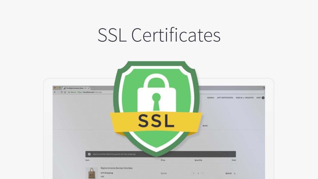 các loại ssl