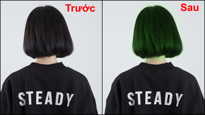 Cách thay đổi màu tóc và màu lông trong Adobe Photoshop  Envato Tuts