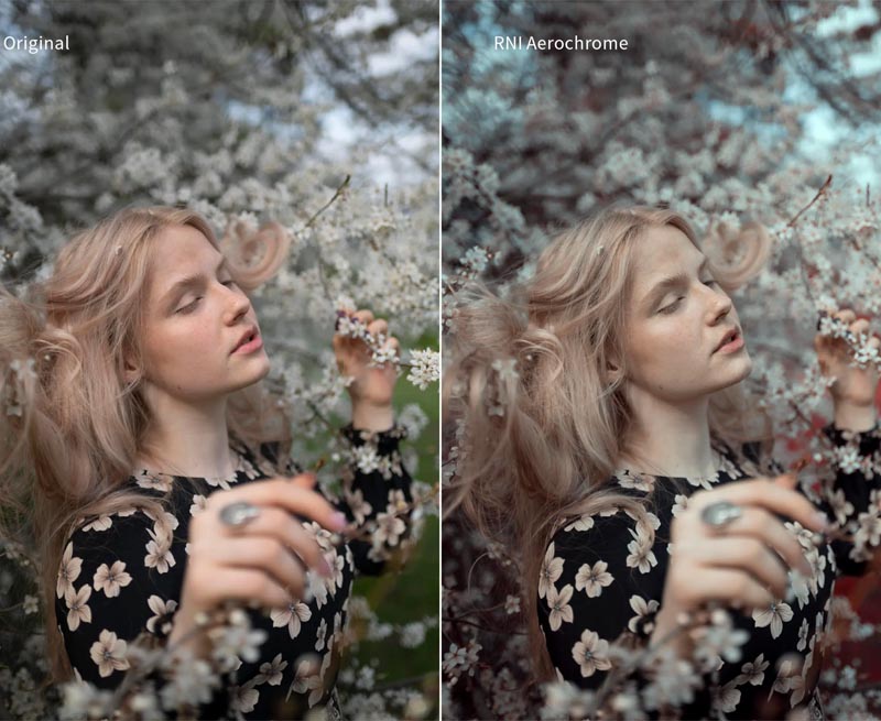 RNI Films tạo h&igrave;nh ảnh phim thực như quay kỹ thuật số