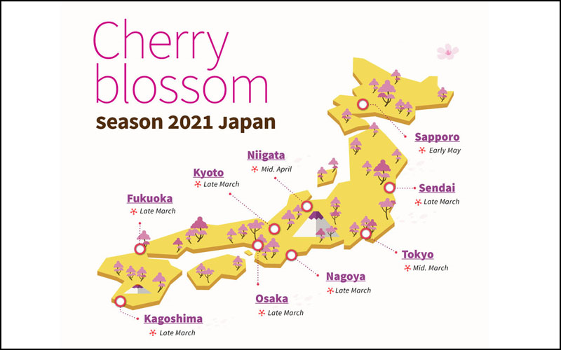 Khu vực diễn ra Hanami 2021