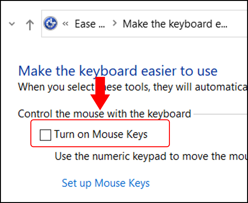 Bỏ chọn Turn ON Mouse Keys để tắt phím chuột