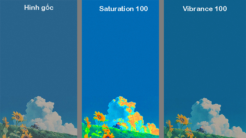 Sự khác nhau giữa Vibrance và Saturation