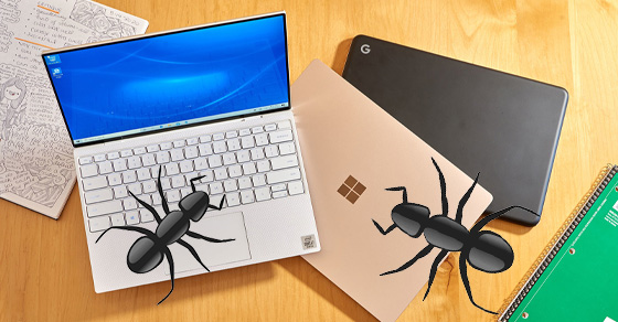 Bí kíp cách diệt kiến trong laptop hiệu quả và an toàn tuyệt đối