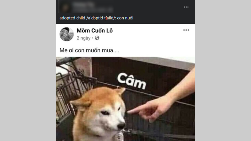 Một bài đăng trong Maybe You Missed This F Word