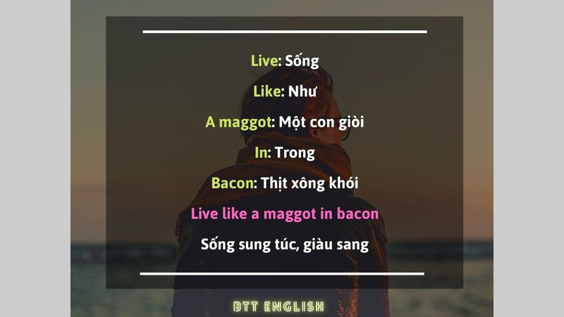 Bài đăng chia sẻ về một cụm từ trong Tiếng Anh