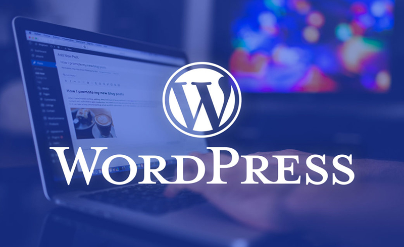 Tổng Quan về WordPress