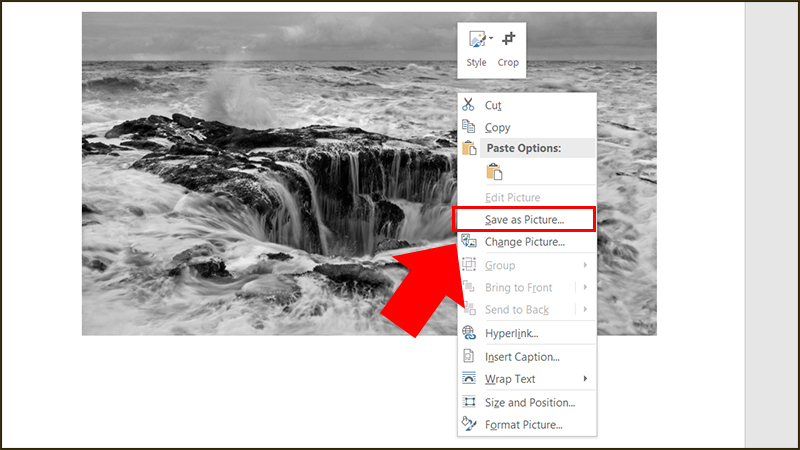Microsoft Word là phần mềm văn phòng hàng đầu và sự kết hợp hoàn hảo giữa ảnh màu và đen trắng vào trong tài liệu của bạn. Hãy xem và cảm nhận sự tinh tế của các ảnh này trên trang tài liệu và khám phá thêm những tính năng tuyệt vời của Microsoft Word.