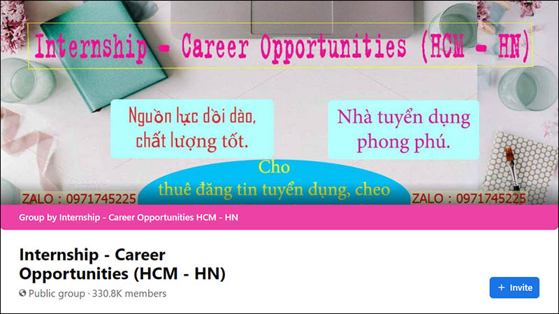 Internship - Career Opportunities (HCM - HN)
