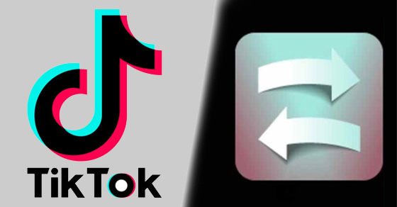 Cách xem mặt mình có bị lệch không trên TikTok bằng Filter Inverted