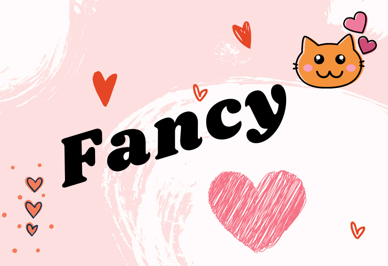 Fancy có nhiều nghĩa khác nhau