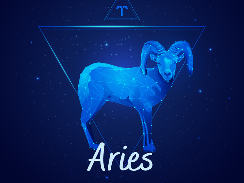 12 Cung Hoang đạo Ngay Sinh đặc điểm Va Tinh Cach đặc Trưng Mới Nhất Thegioididong Com