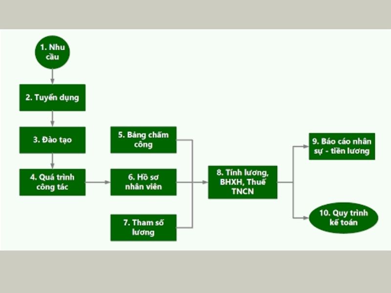 Quy trình tuyển dụng nhân viên