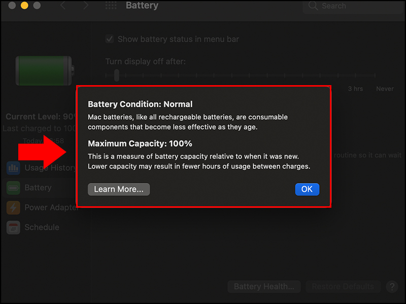 Tại đây hiển thị các thông tin về tình hình pin MacBook