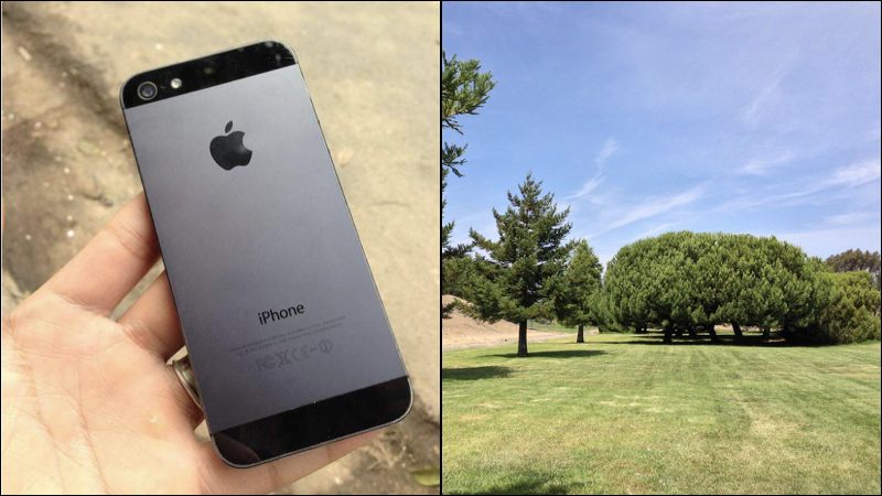 iPhone 5