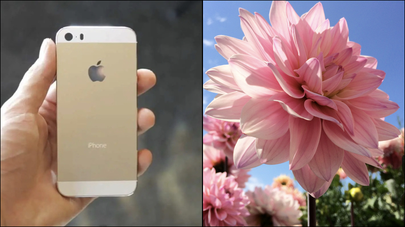 iPhone 5s