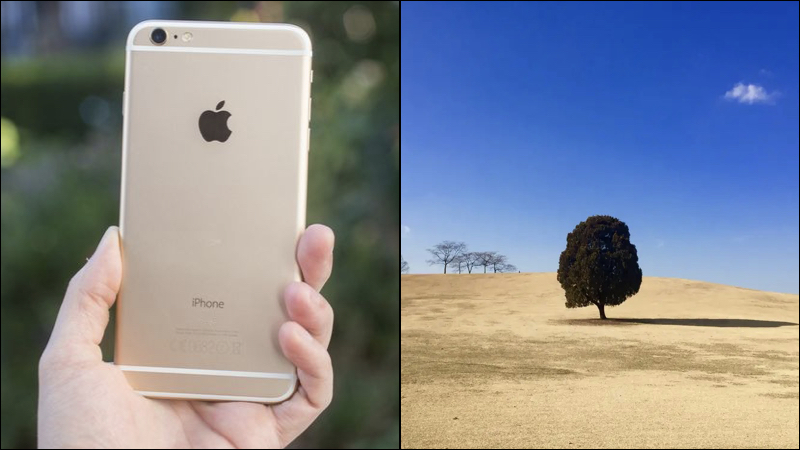 iPhone 6