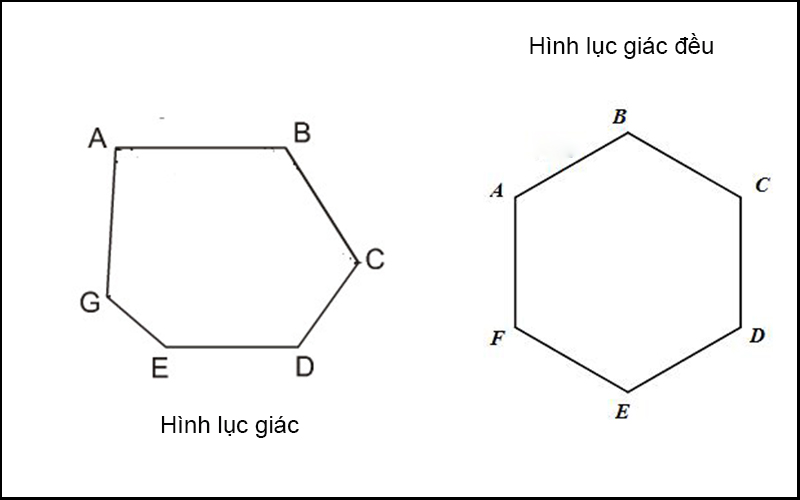 Hình Lục Giác Không Đều