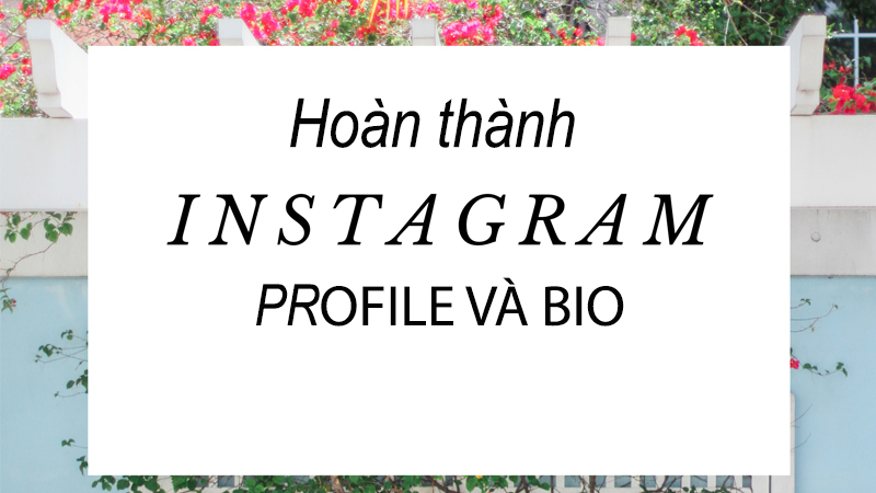 Cách đăng ký dấu tích xanh trên Instagram và 7 mẹo để được xác minh