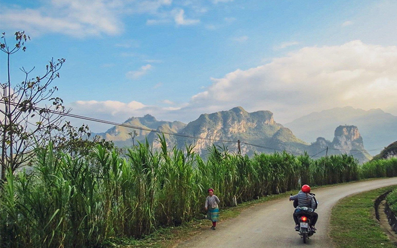 To travel is to live – (Đi phiêu du chính là sống)