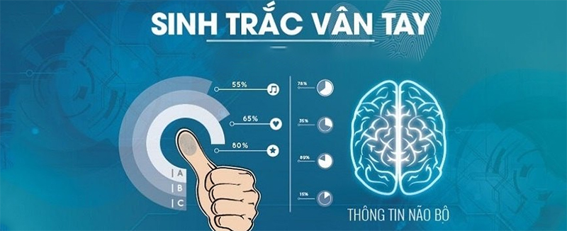 Sinh trắc vân tay là phương pháp sử dụng công nghệ để phân tích dấu vân tay