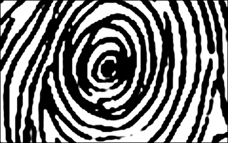 Chủng vân tay Concentric Whorl