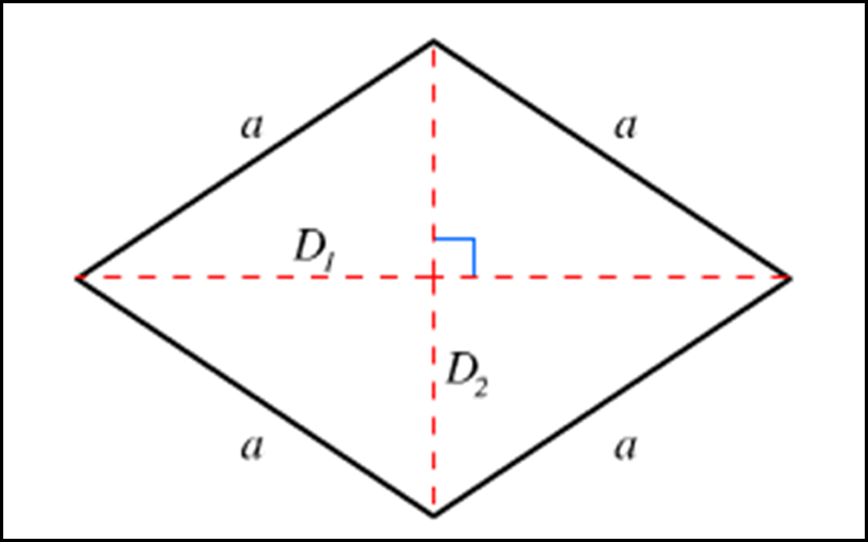 Đường chéo cánh là nhân tố cần thiết nhằm tính diện tích S hình thoi