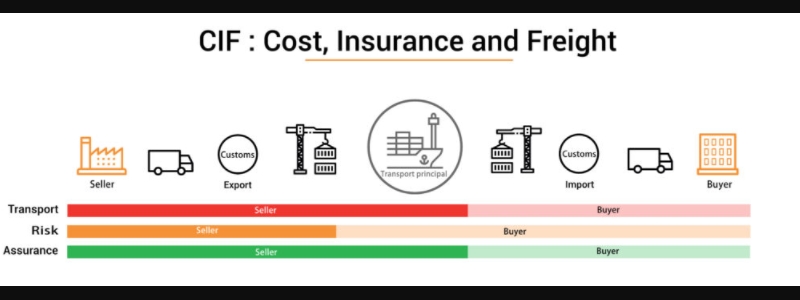 Tiền dùng để mua bảo hiểm hàng hóa gọi là giá CIF