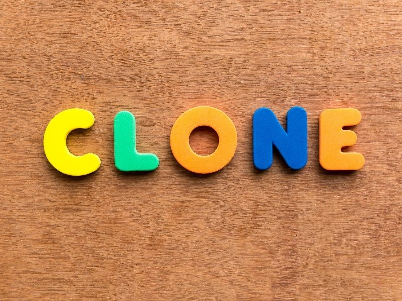 Clone có thể tạo ra bản sao của Repository