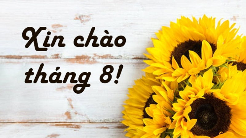 Tháng 8 ơi chào cậu!