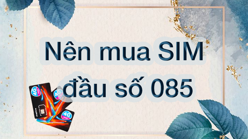 So Sánh Đầu Số 085 Với Các Đầu Số Khác