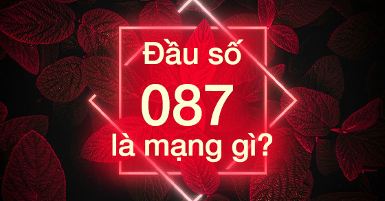 Đầu số 087 là mạng gì? Ý nghĩa của đầu số 087? Có phải số tài lộc?