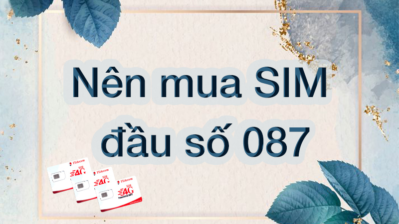 Nên mua SIM đầu số 087