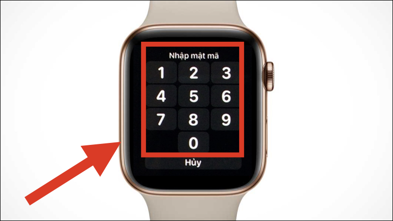 Cách nghe nhạc Spotify trên Apple Watch không cần tới iPhone đơn giản