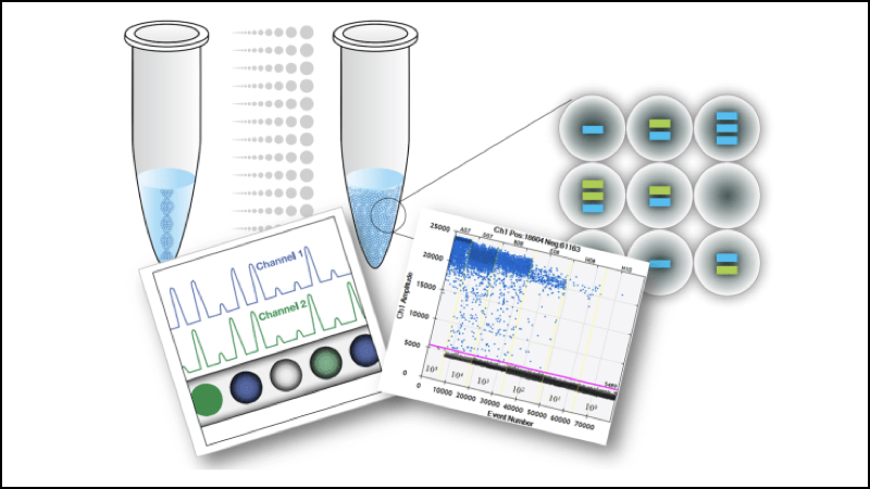 Phương pháp RT-PCR là phương pháp dùng để chẩn đoán COVID-19