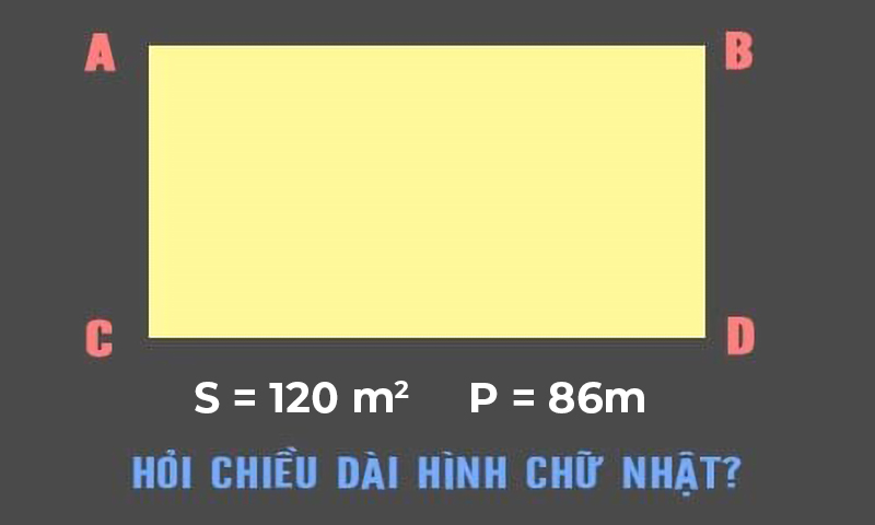 Công thức tính chiều dài hình chữ nhật có bài tập và lời giải dễ hiểu - Thegioididong.com