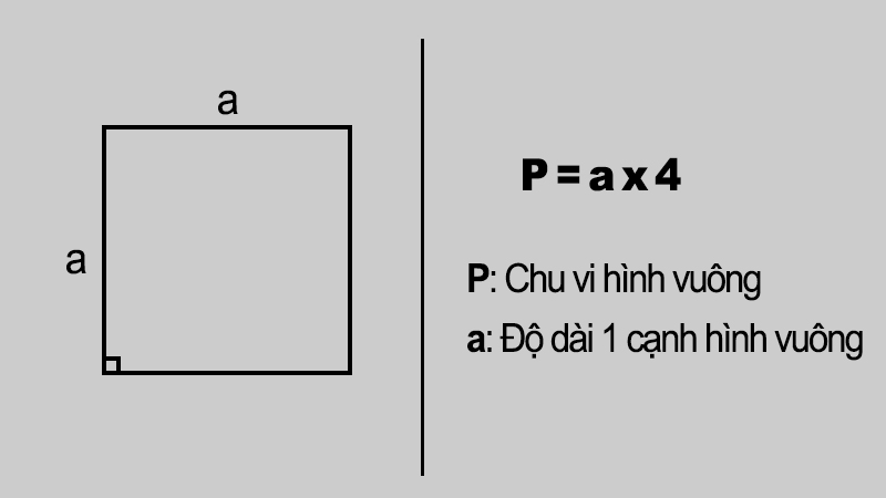 Chu vi hình vuông bằng tổng độ dài 4 cạnh của một hình vuông