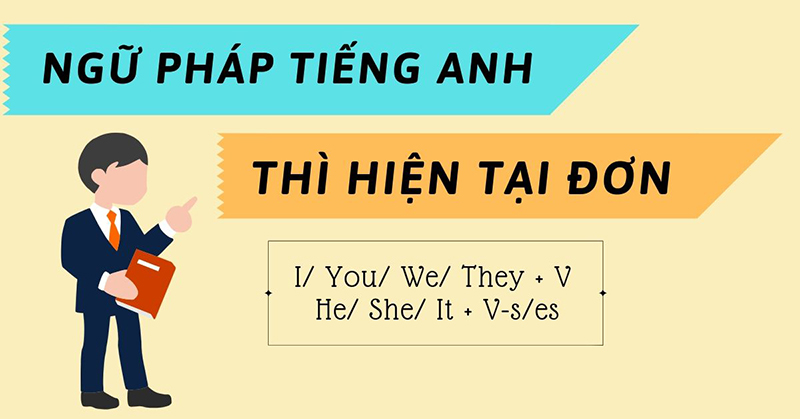 Thì hiện tại đơn hay còn gọi là Simple Present hoặc Present Simple