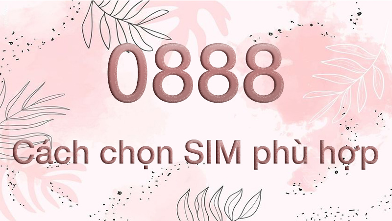 Giới thiệu về Đầu Số 0888