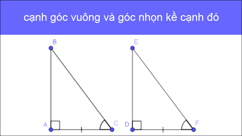 Trường hợp 5: cạnh góc vuông và góc nhọn kề cạnh đó