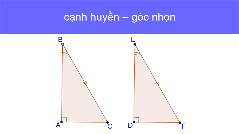 Trường hợp 6: cạnh huyền – góc nhọn