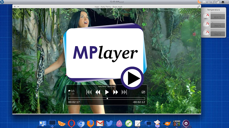 MPlayer tích hợp với một số hệ chip: Athlon XP, Athlon 64, Pentium 4, Pentium M