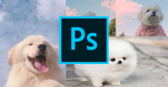 Hướng dẫn cách ghép 3 ảnh thành 1 trong photoshop đơn giản và chuyên nghiệp